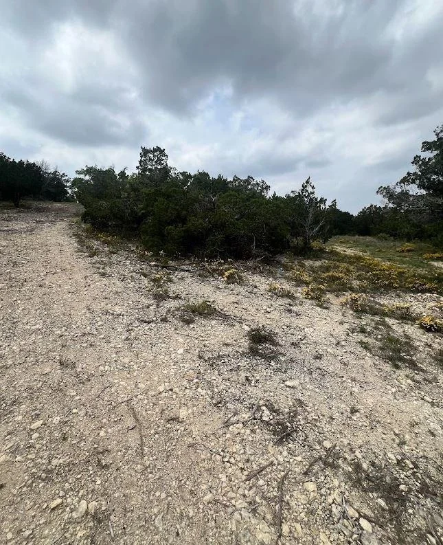 Photo of TBD Tyler Trail
