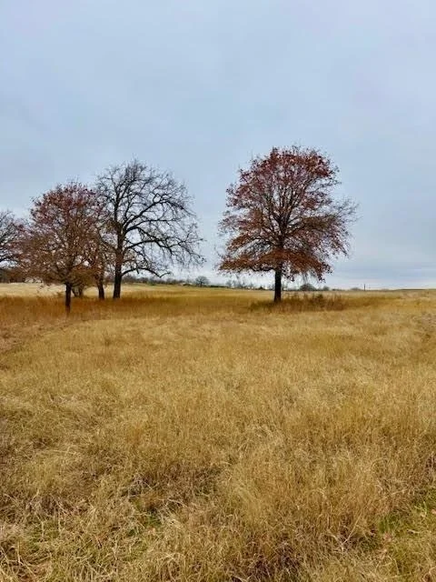 Photo of 702 County Road 3597