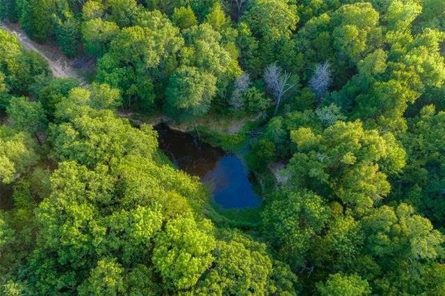 Photo of 10100 County Road 4028