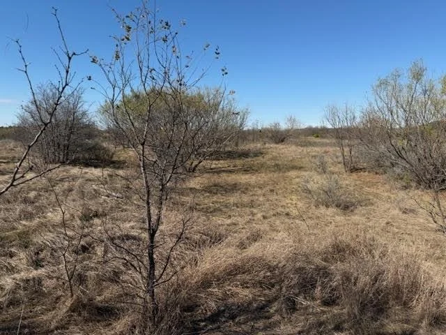 Photo of 2045 Canyon Wren Loop