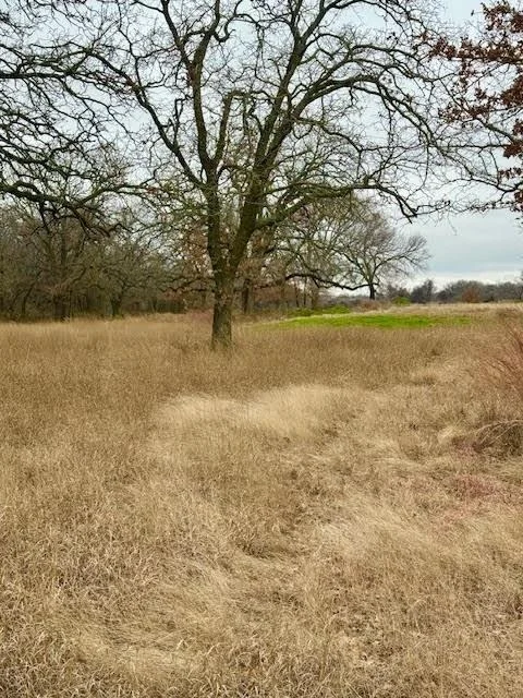 Photo of 702 County Road 3597