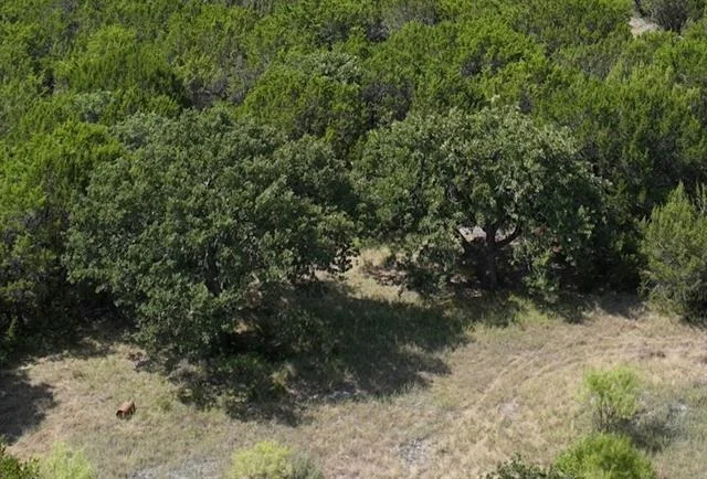 Photo of 1093 Lemons Gap Road