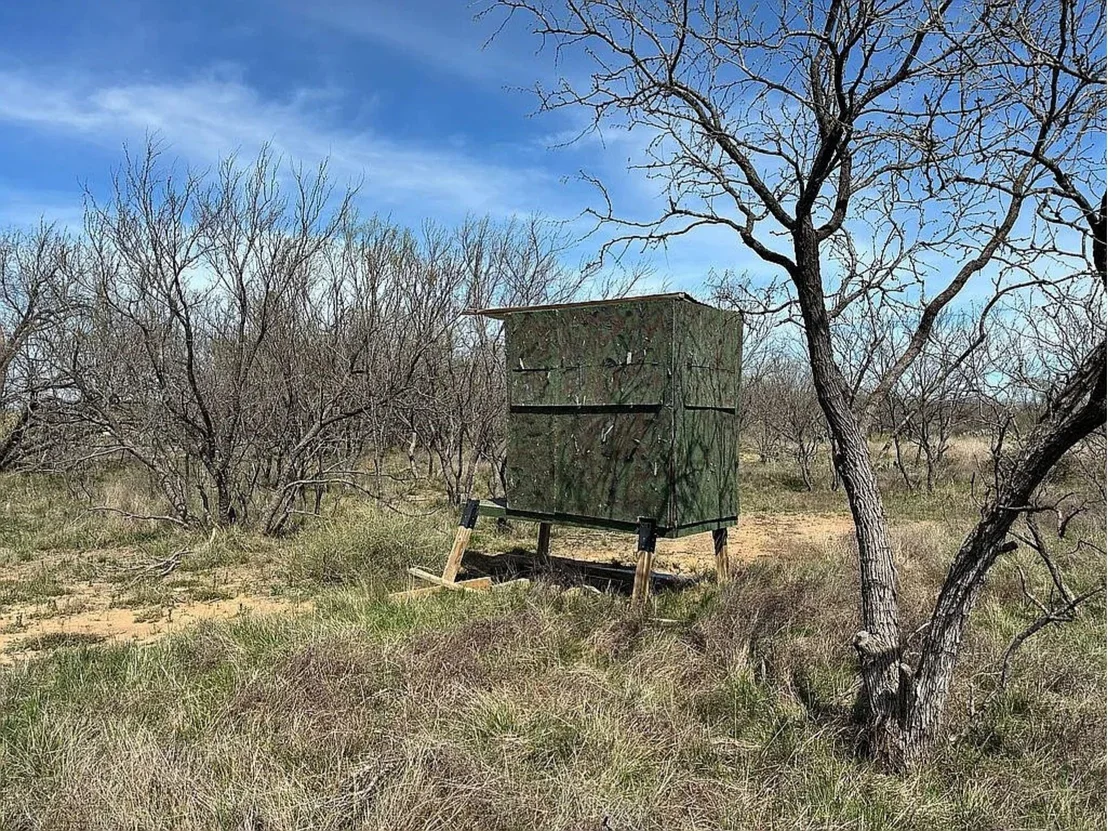 Photo of 433 County Road 327
