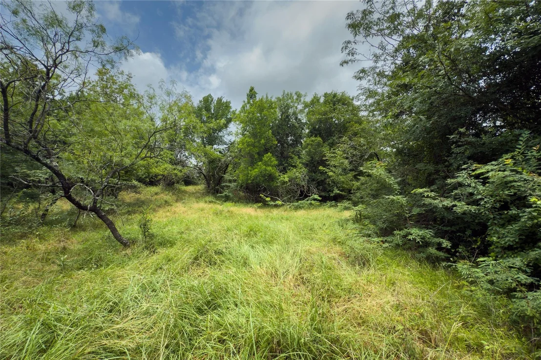 Photo of Lot 5 County Road 173