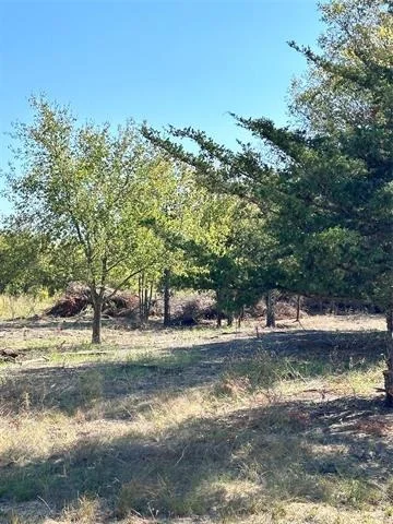 Photo of 1146 County Road 2175