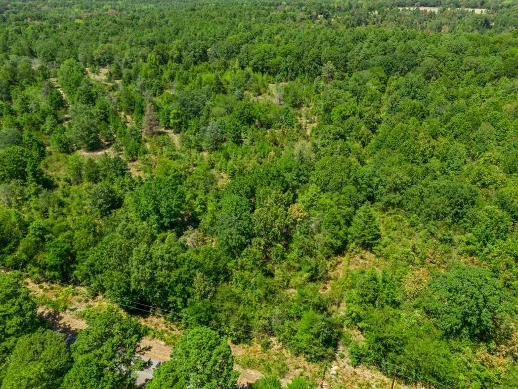 Photo of TBD CR 3854 4.542 Acres