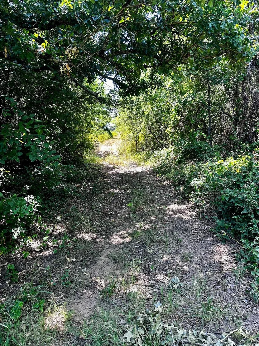 Photo of 25300 State Highway 279
