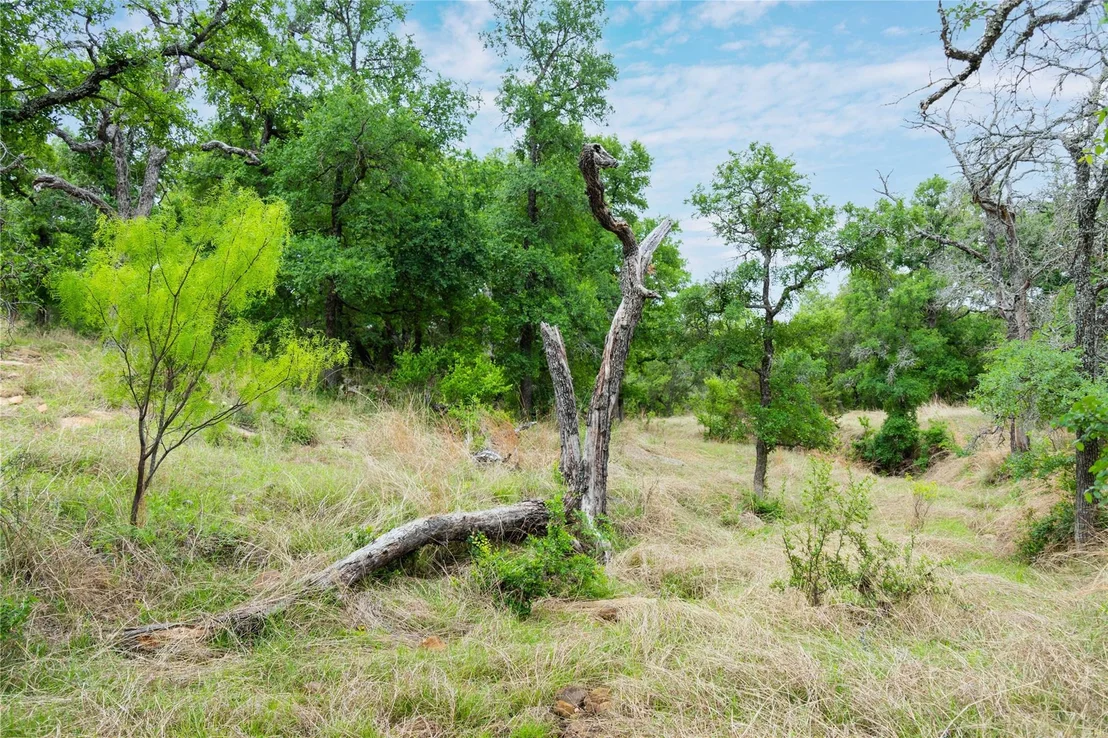 Photo of 182 County Road 430