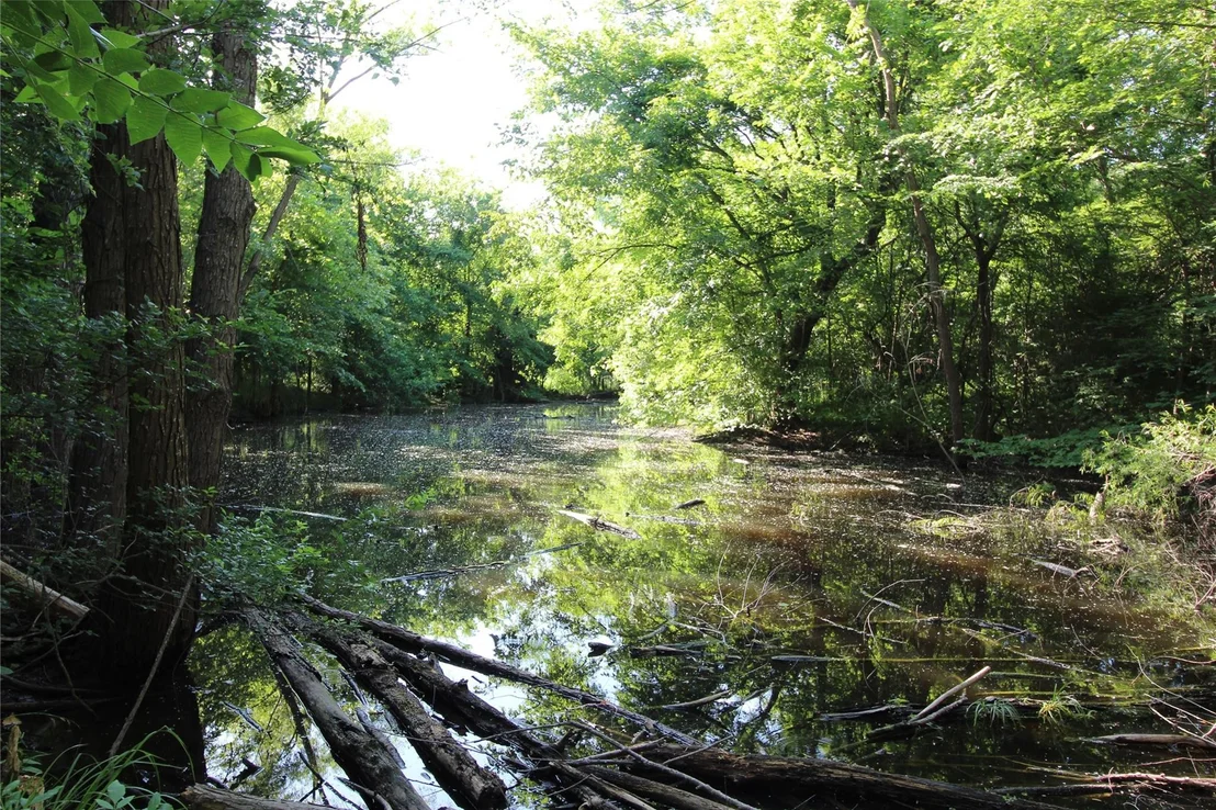 Photo of 19470 County Road 4072