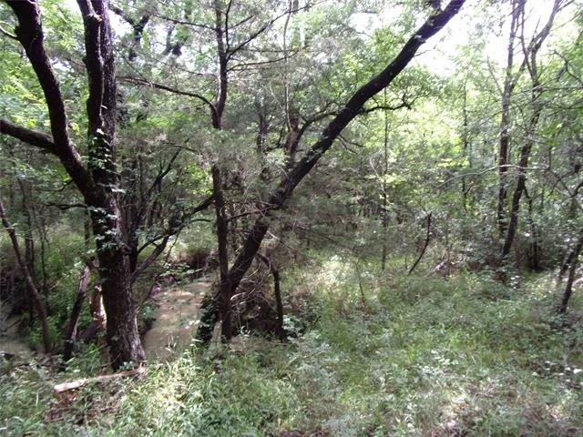 Photo of 4188 Willow Oak Bend