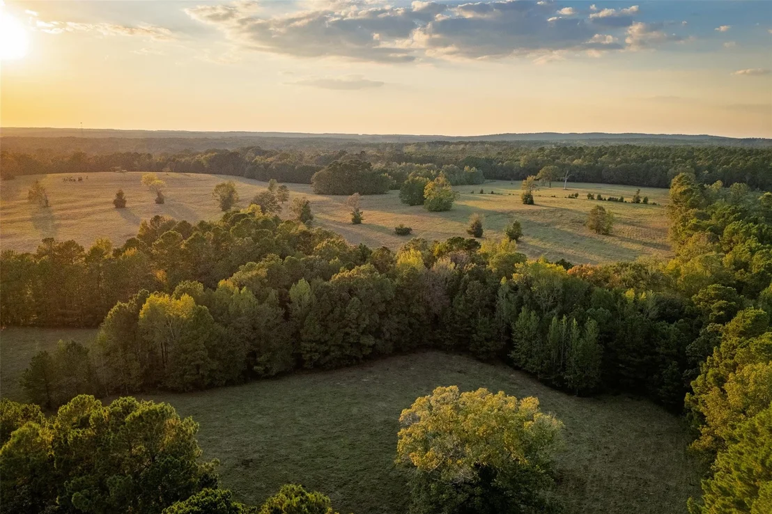 Photo of 973 County Road 2572