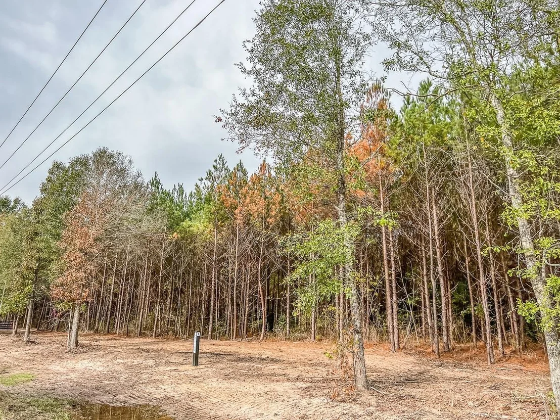 Photo of 011 CR 2307