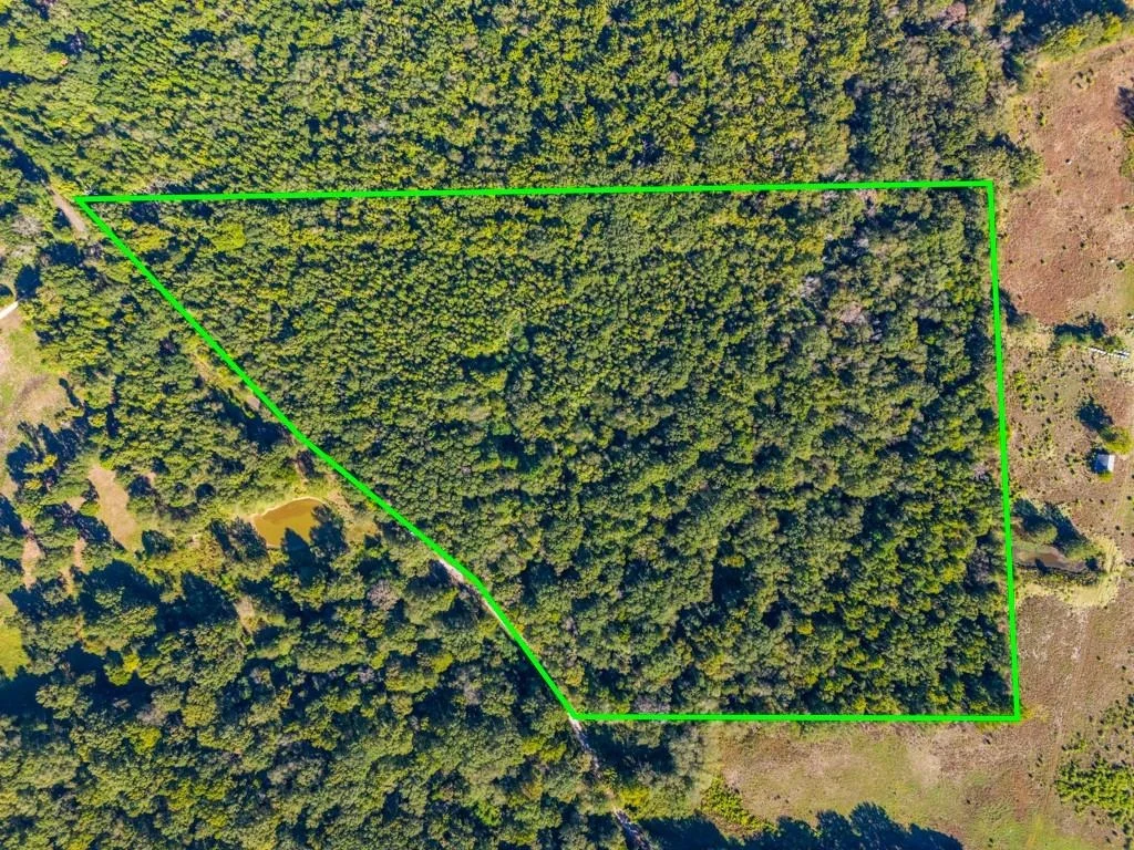 Photo of TBD County Road 3324, 24 Ac