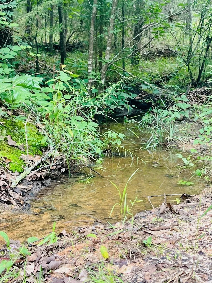 Photo of 950 VZ County Road 1919