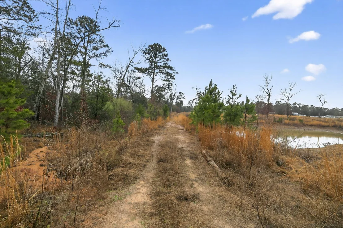Photo of 868 County Road 2920