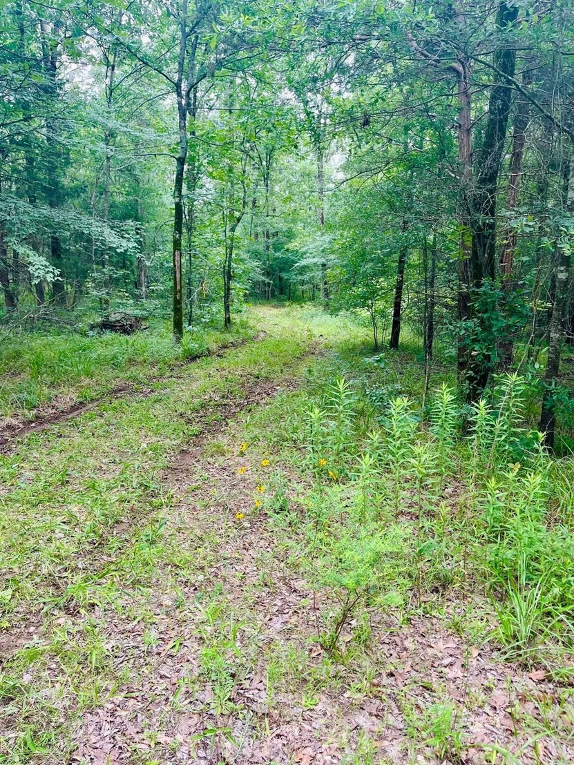 Photo of 950 VZ County Road 1919