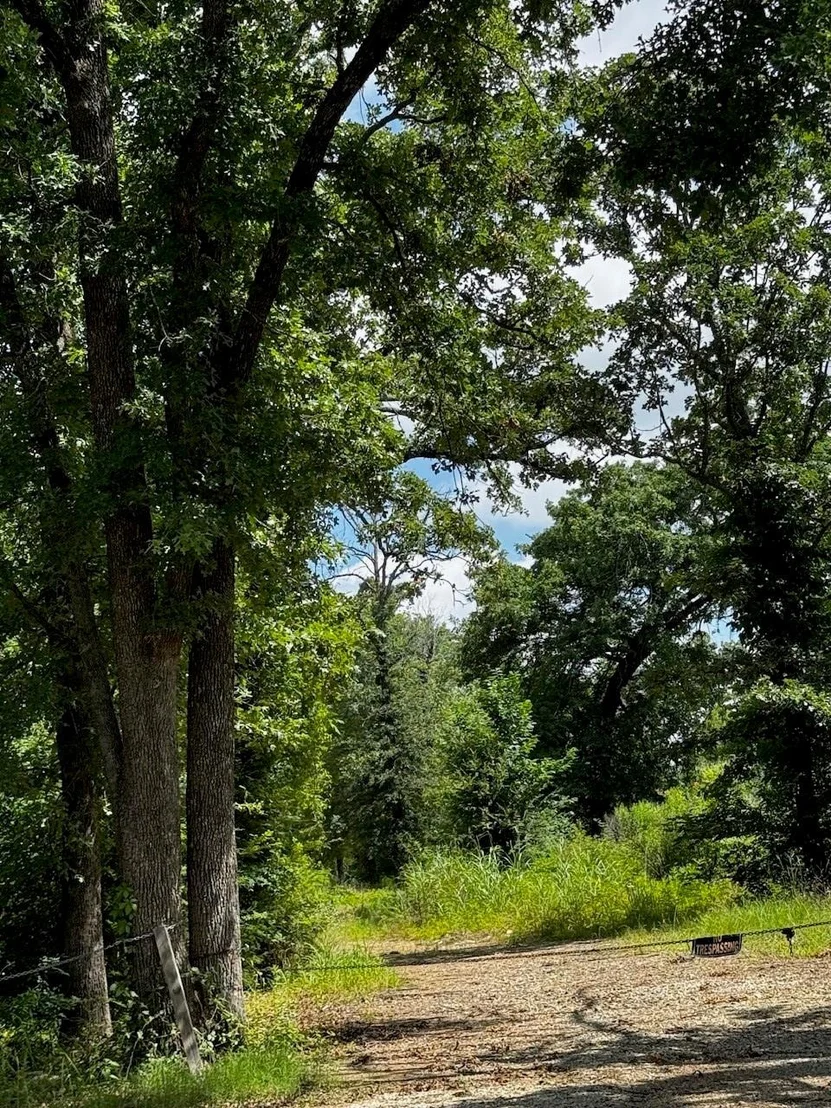 Photo of 5200 County Road 45080