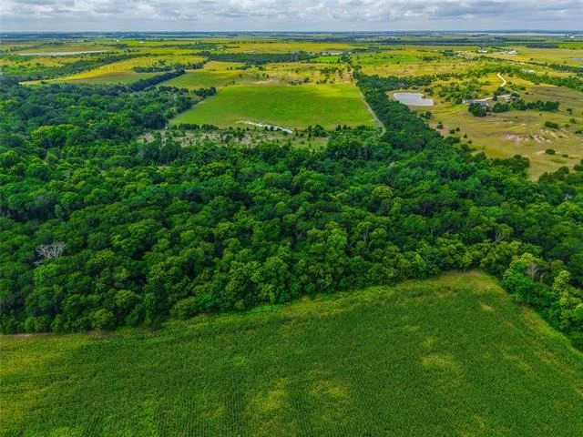 Photo of 524 County Road 453