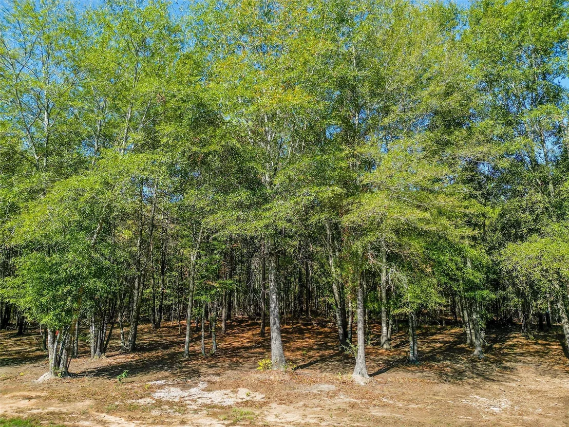 Photo of 373 County road 3832
