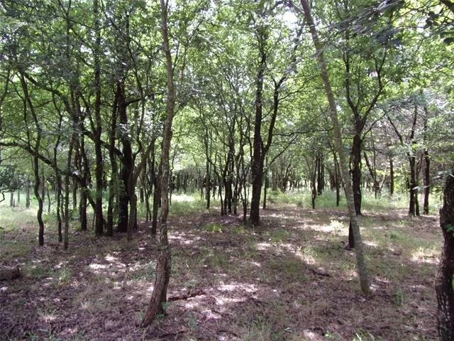 Photo of 4188 Willow Oak Bend