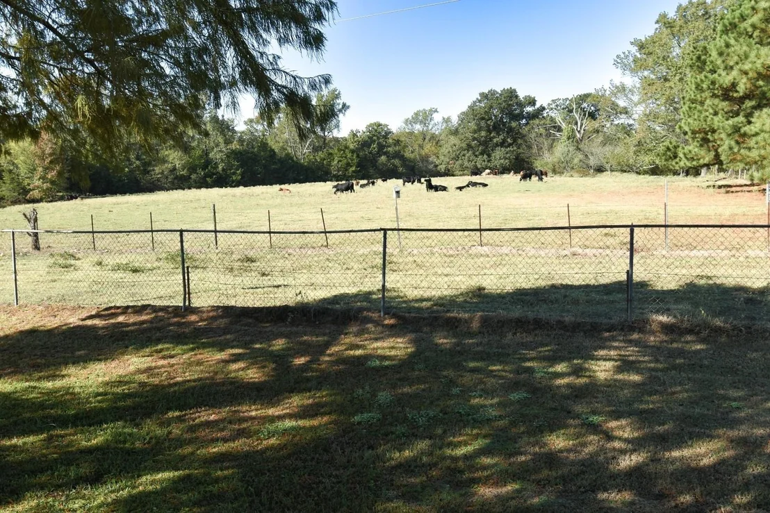 Photo of 1191 County Road 4186