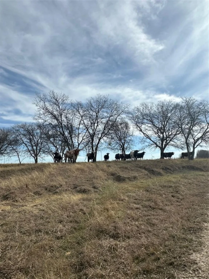 Photo of 363 County Road 4403