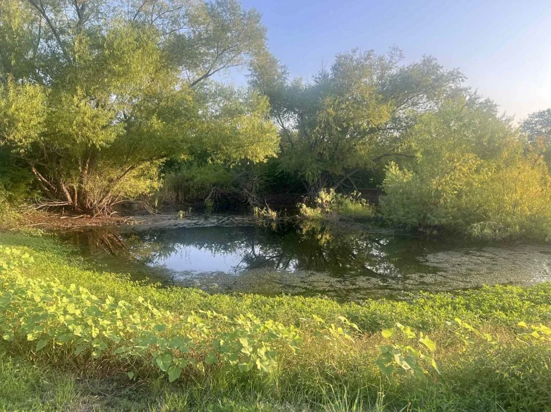 Photo of 8079 Harden Oaks