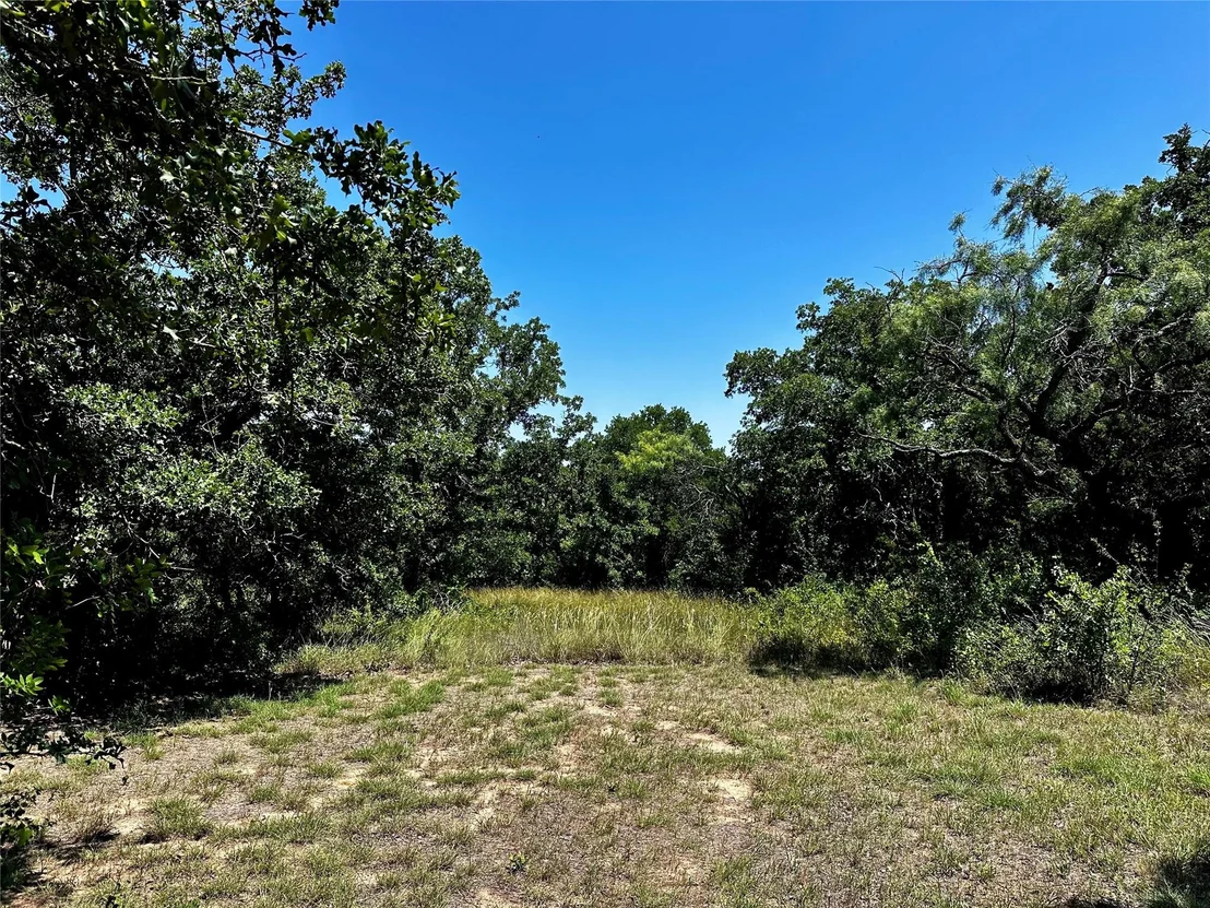 Photo of 15541 County Road 409