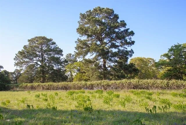 Photo of 490 John Craft Road
