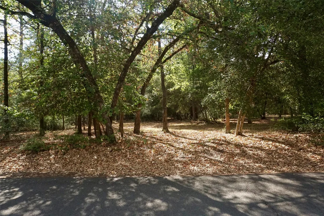Photo of TBD Lot 146 (Evening Shadows Trail) Trail