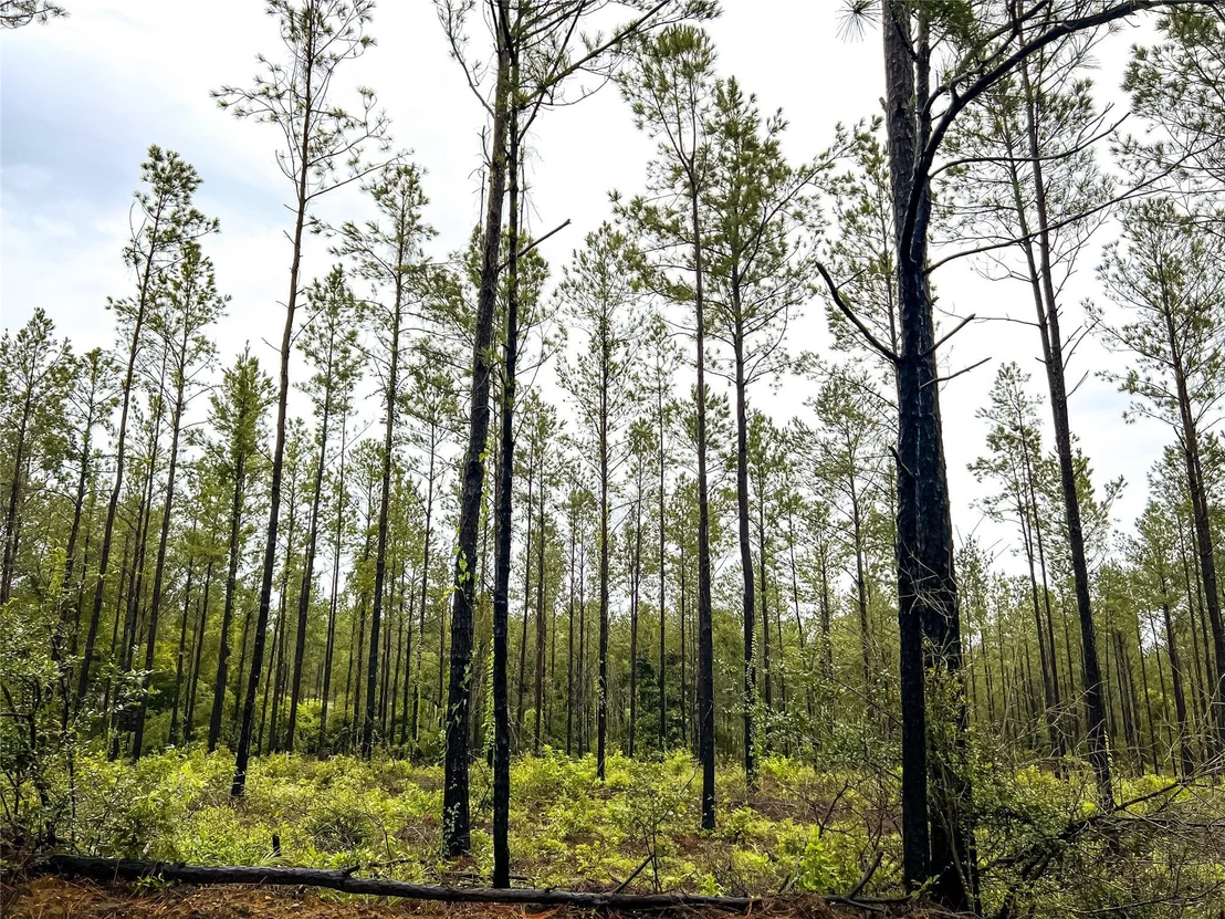 Photo of 2 CR 258