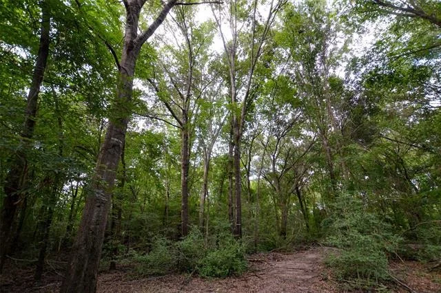 Photo of 8690 County Road 1119