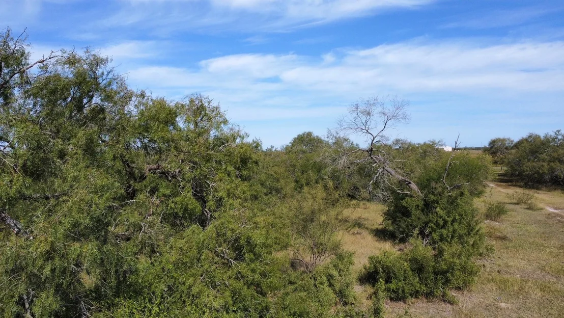 Photo of 14135 County Road 1144