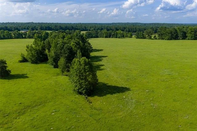 Photo of 2030 County Road 1640