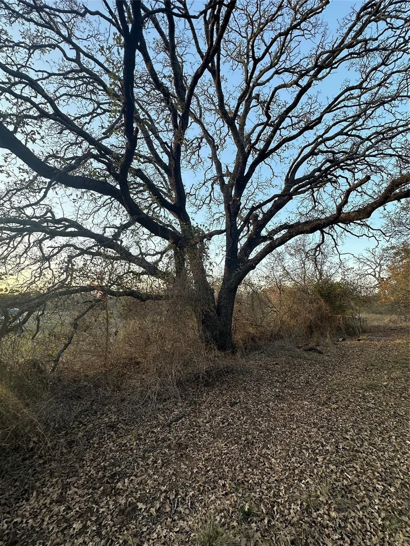 Photo of TBD Thomas 80 Ranch