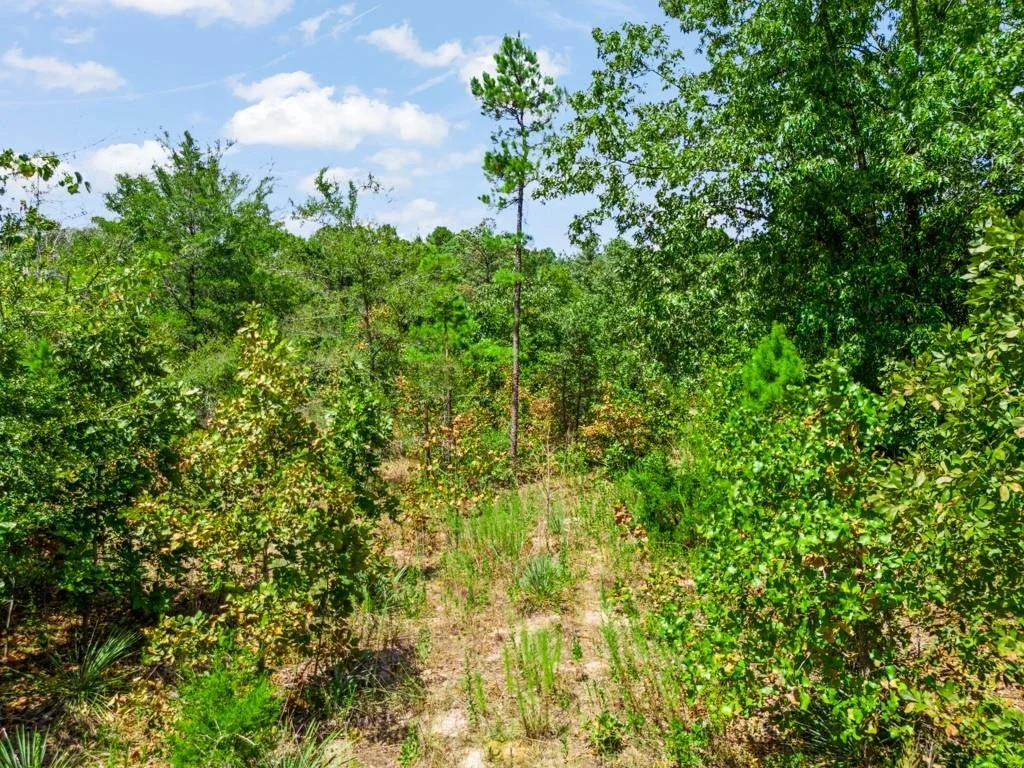 Photo of TBD CR 3854 4.542 Acres