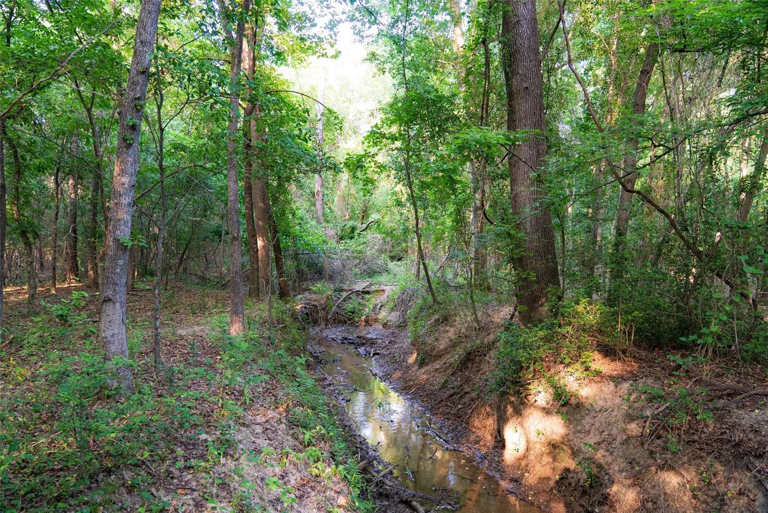 Photo of 13612 County Road 3900