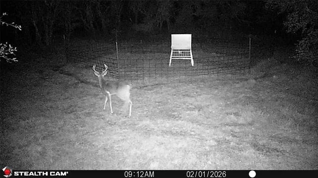 Photo of 2387 County Road 321