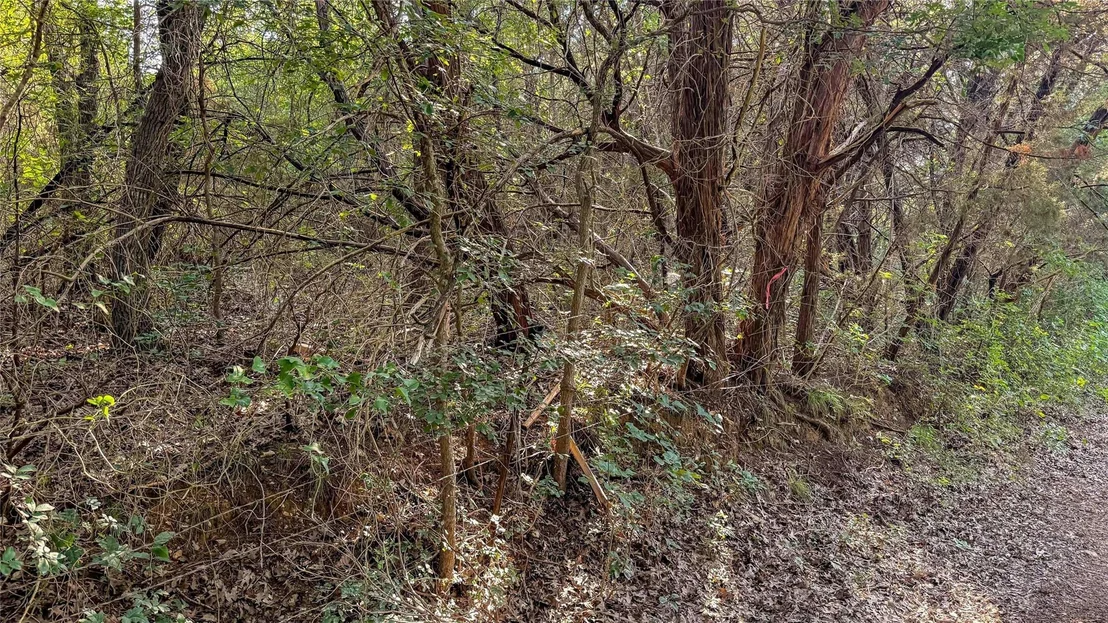 Photo of 2168 Patrick Crossing