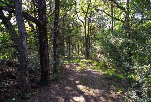 Photo of 490 John Craft Road