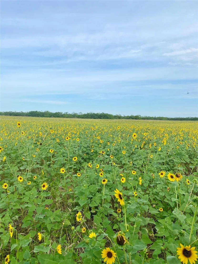 Photo of TBD 212 Acres CR 498