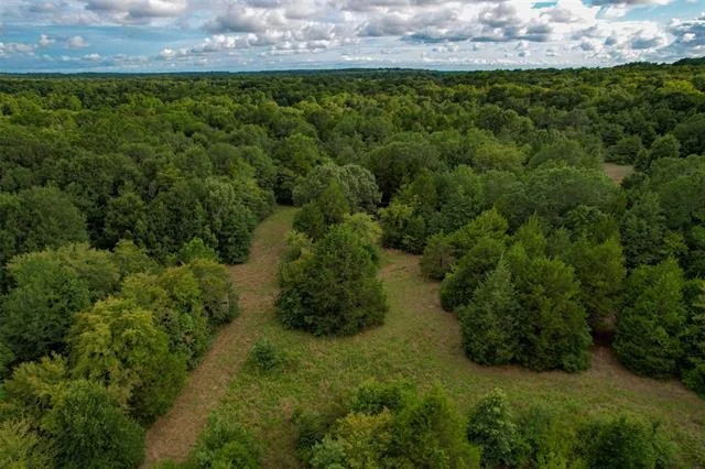 Photo of 8690 County Road 1119