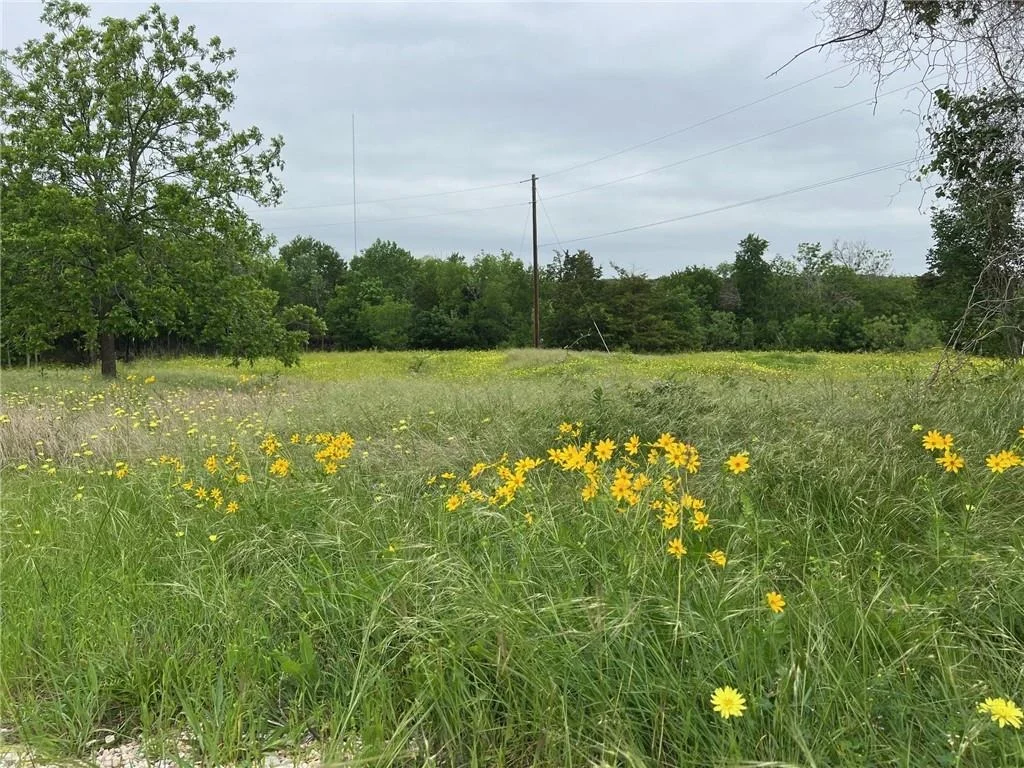 Photo of 153 Suzanne Drive