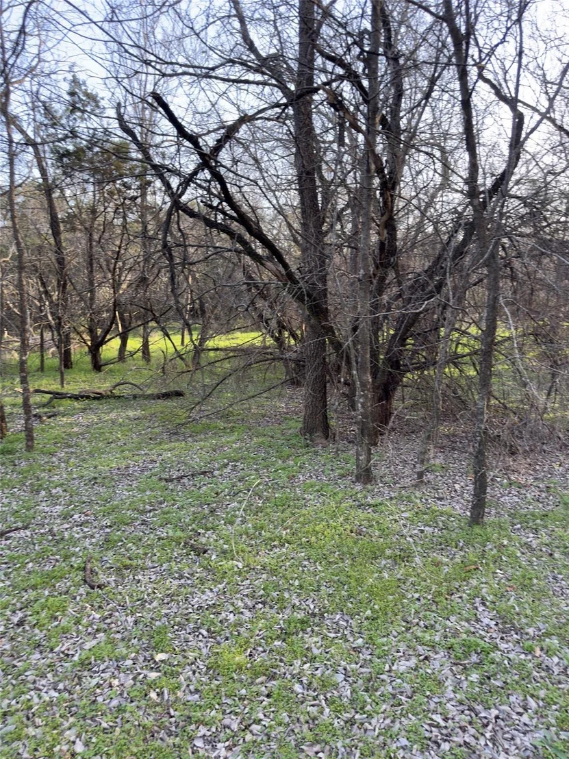 Photo of 12147 Trailwood Drive