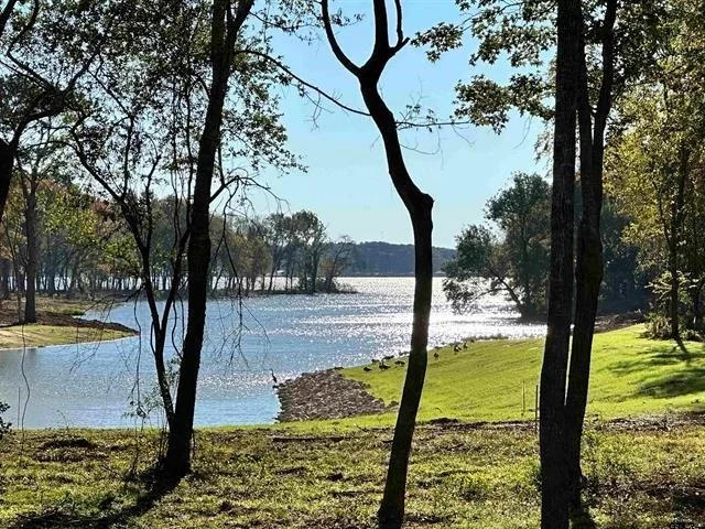 Photo of Lot 43 Oak River