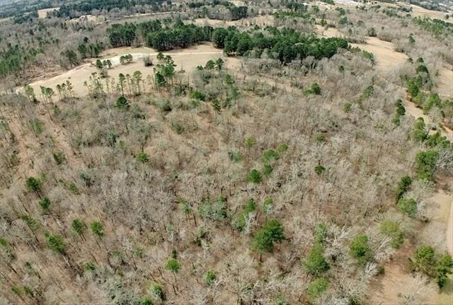 Photo of 1425 State Highway 300