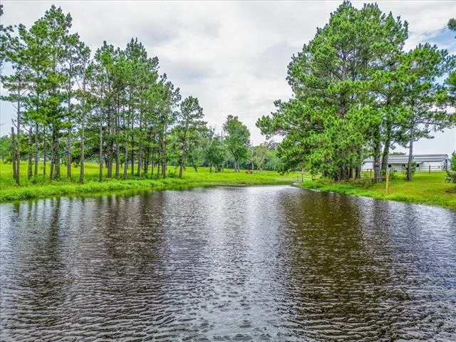 Photo of 548 County Road 2301