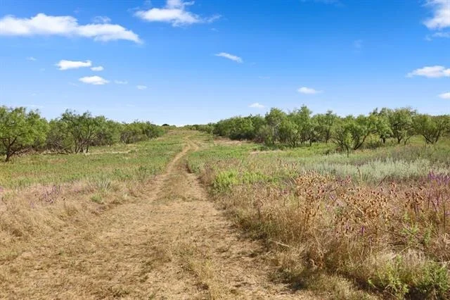 Photo of 1078 County Road 498