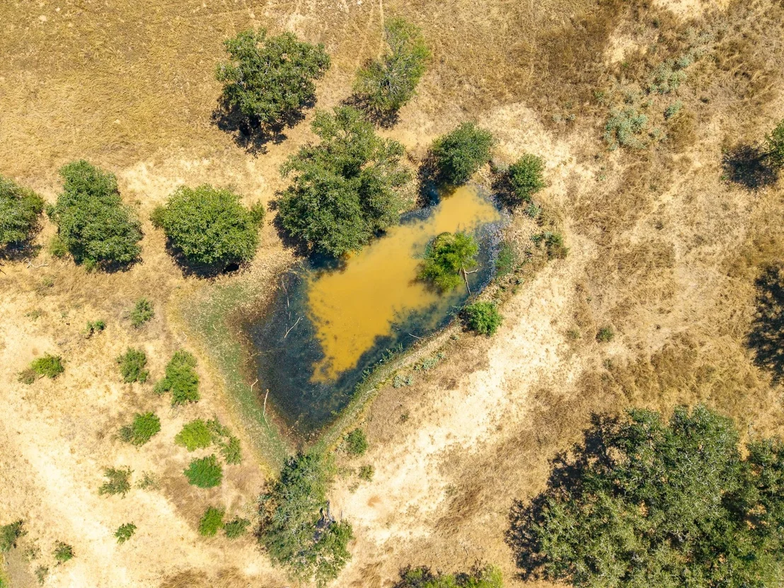 Photo of 1951 Dowdy Road
