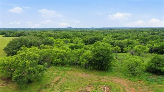 Photo of 16665 State Highway 206